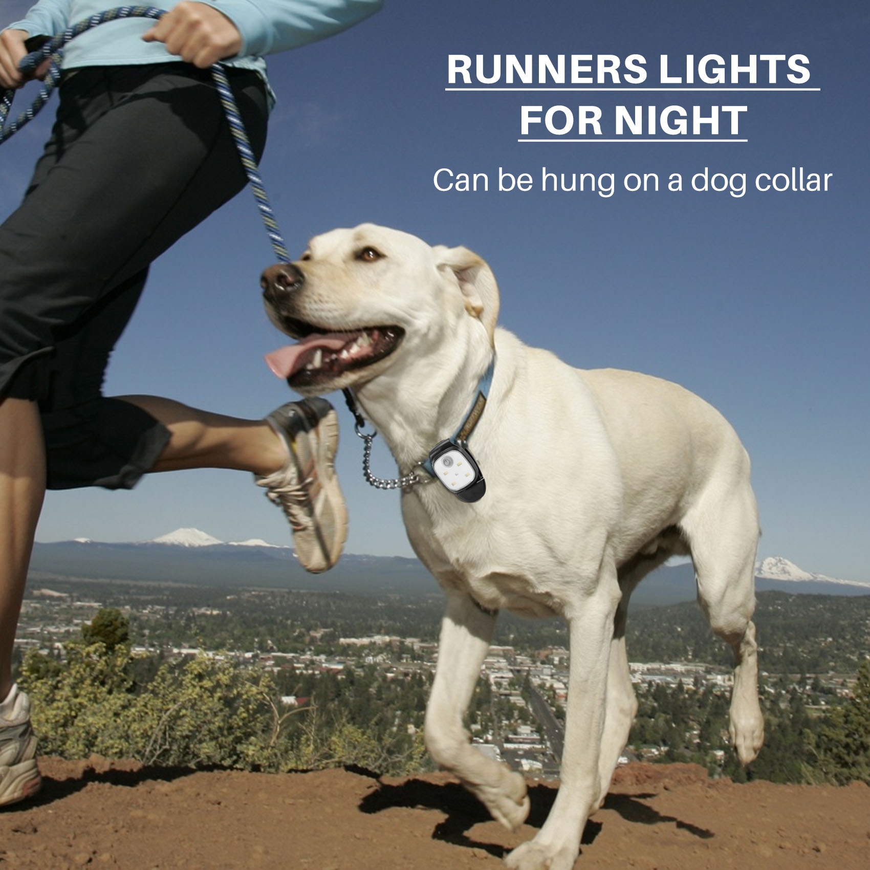 XSXS-Outdoor Clip notturna su  - Running Gear Night recensione e prezzo